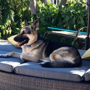 Meet your Posher, Amy